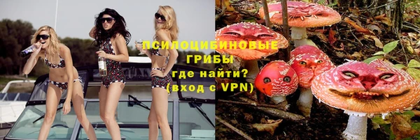 ПСИЛОЦИБИНОВЫЕ ГРИБЫ Магадан