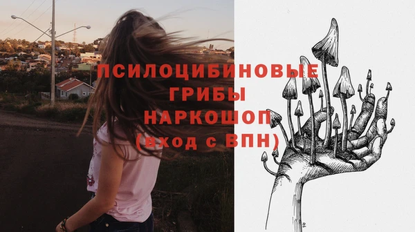 МДПВ Майский