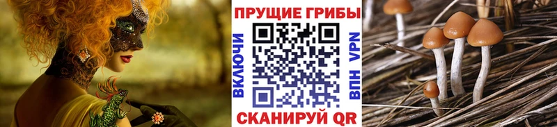 Галлюциногенные грибы GOLDEN TEACHER  Киренск 