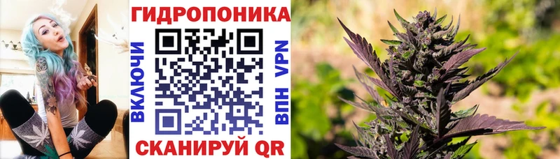 где купить наркотик Киренск Канабис семена